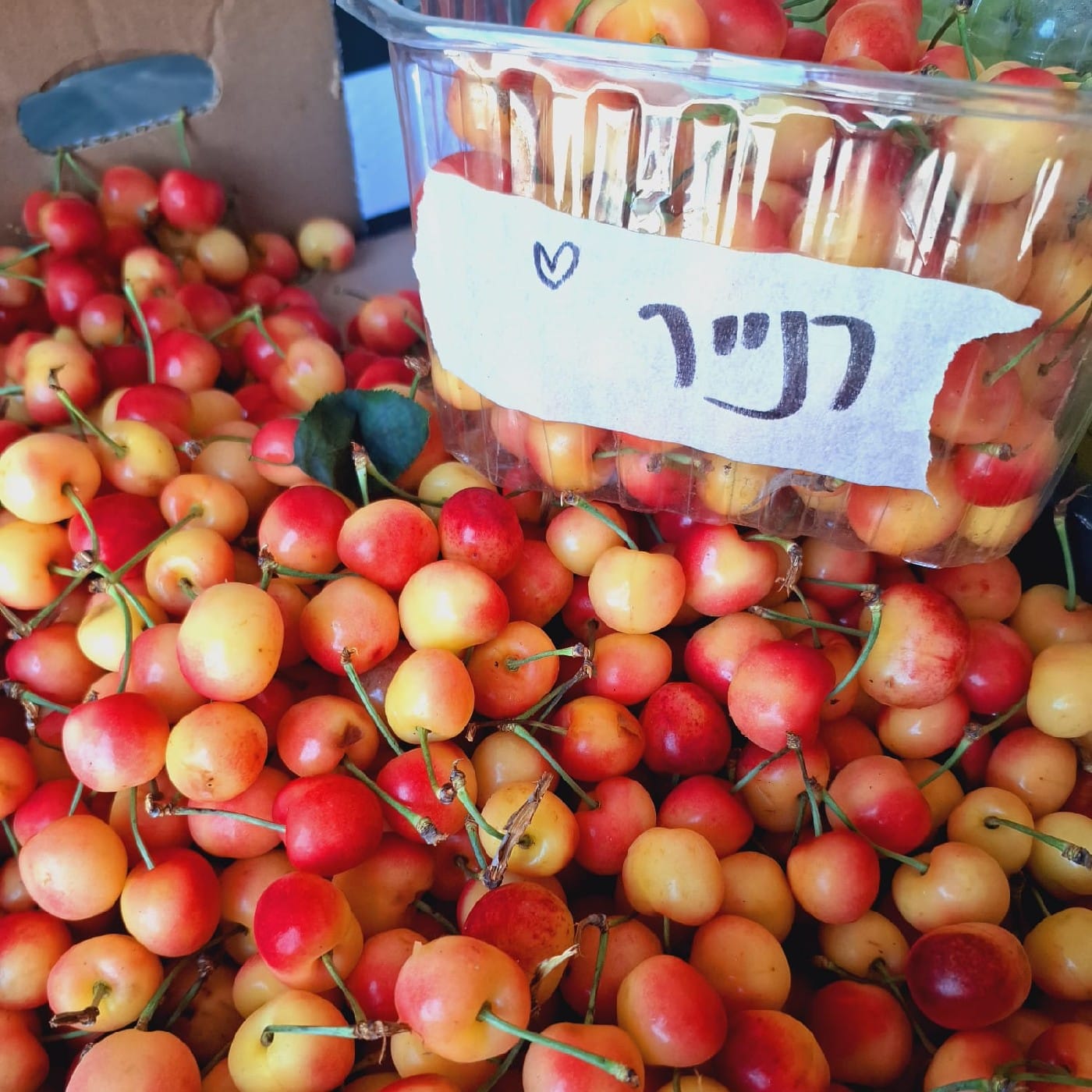 דובדבן לבן מתוק 
