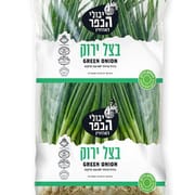 בצל ירוק טעים ומעודן. בפיקוח הלכתי בנושא חרקים