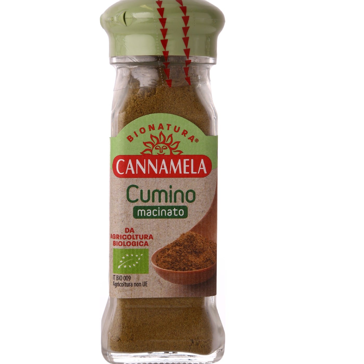 כמון אורגני