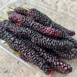 . רמה גבוהה! מארז כ-130 ג', מוצר מאוד רגיש!. טיפול ללא כימיקלים