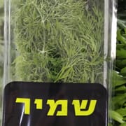 מארז כ-55 ג'. בפיקוח הלכתי בנושא חרקים