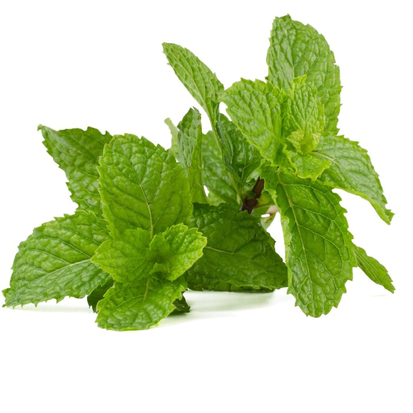 נענע מהדרין מארז