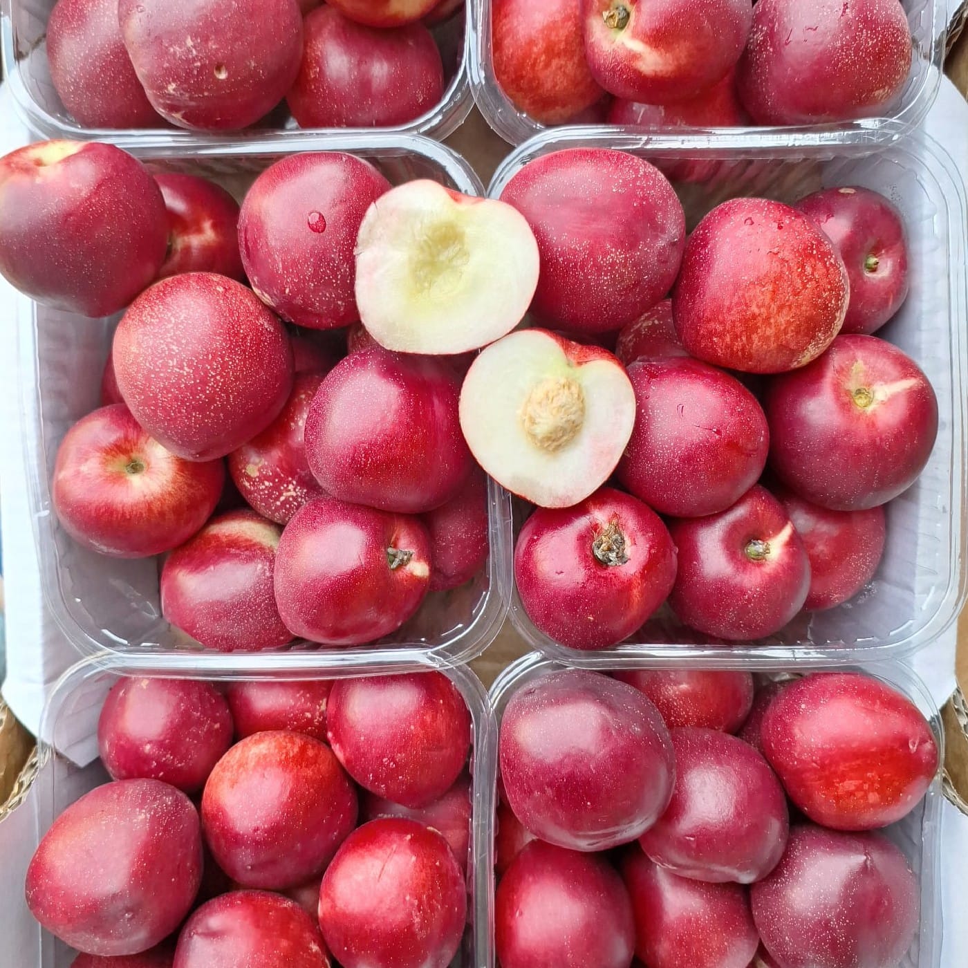 נקטרינה לבנה אורגנית