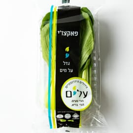 (פאק צ'וי) מארז כ-150 גרם