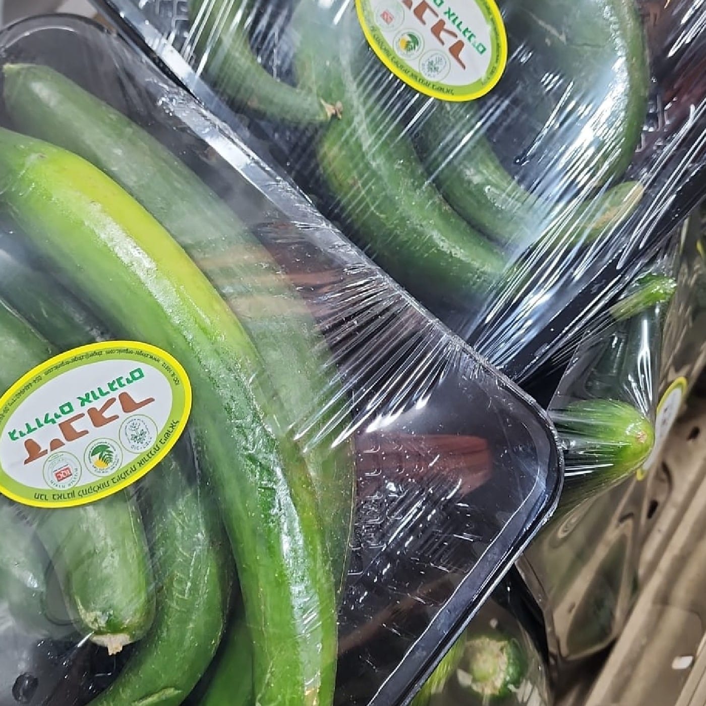 מלפפון "ארומטו" אורגני