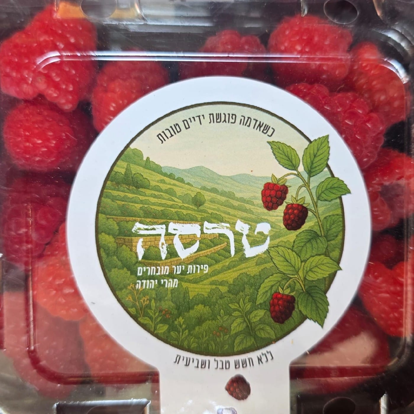 פטל אדום ישראלי 125 ג'