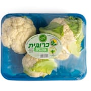 כ-600 ג'