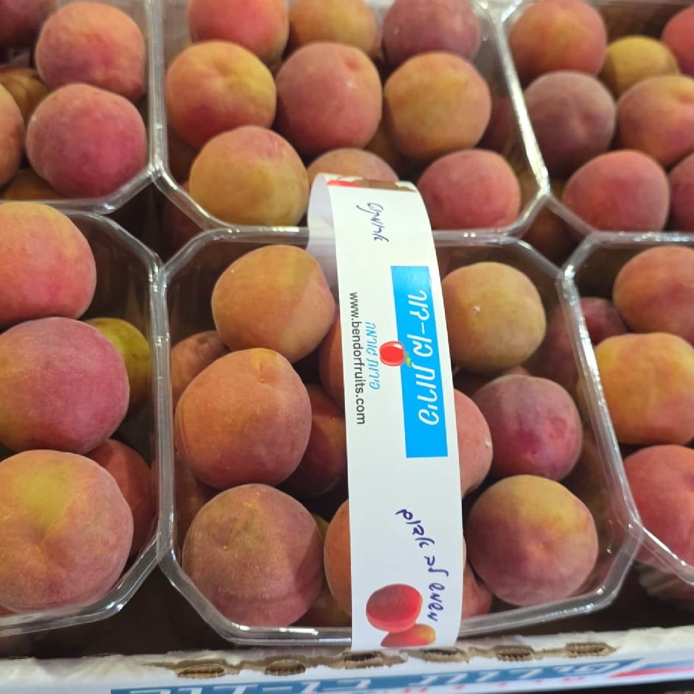 משמש ויולט לב אדום