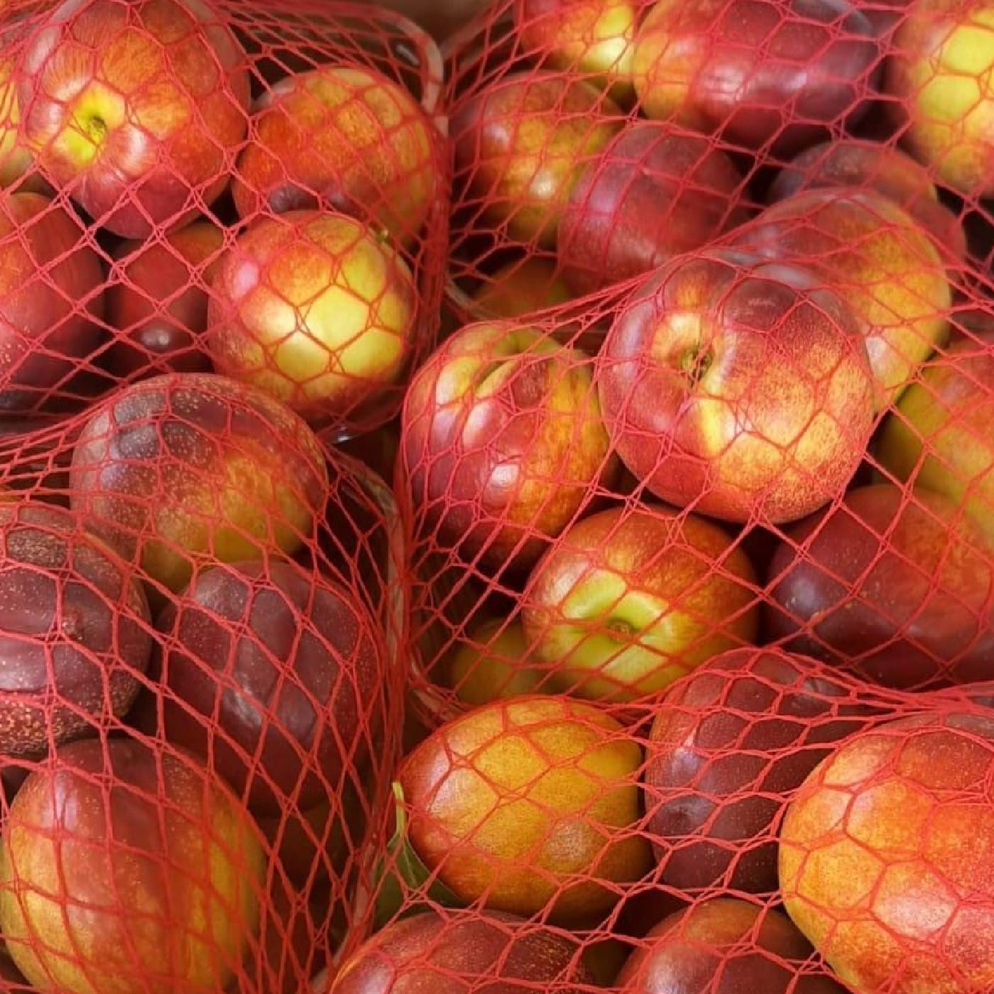 נקטרינה צהובה