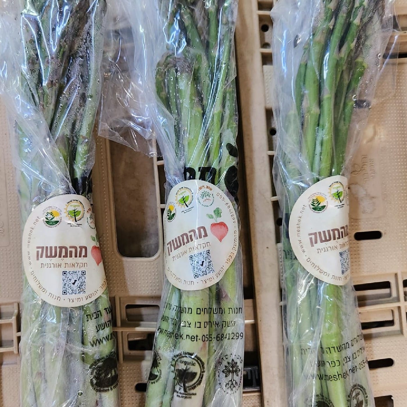 צרור אספרגוס אורגני