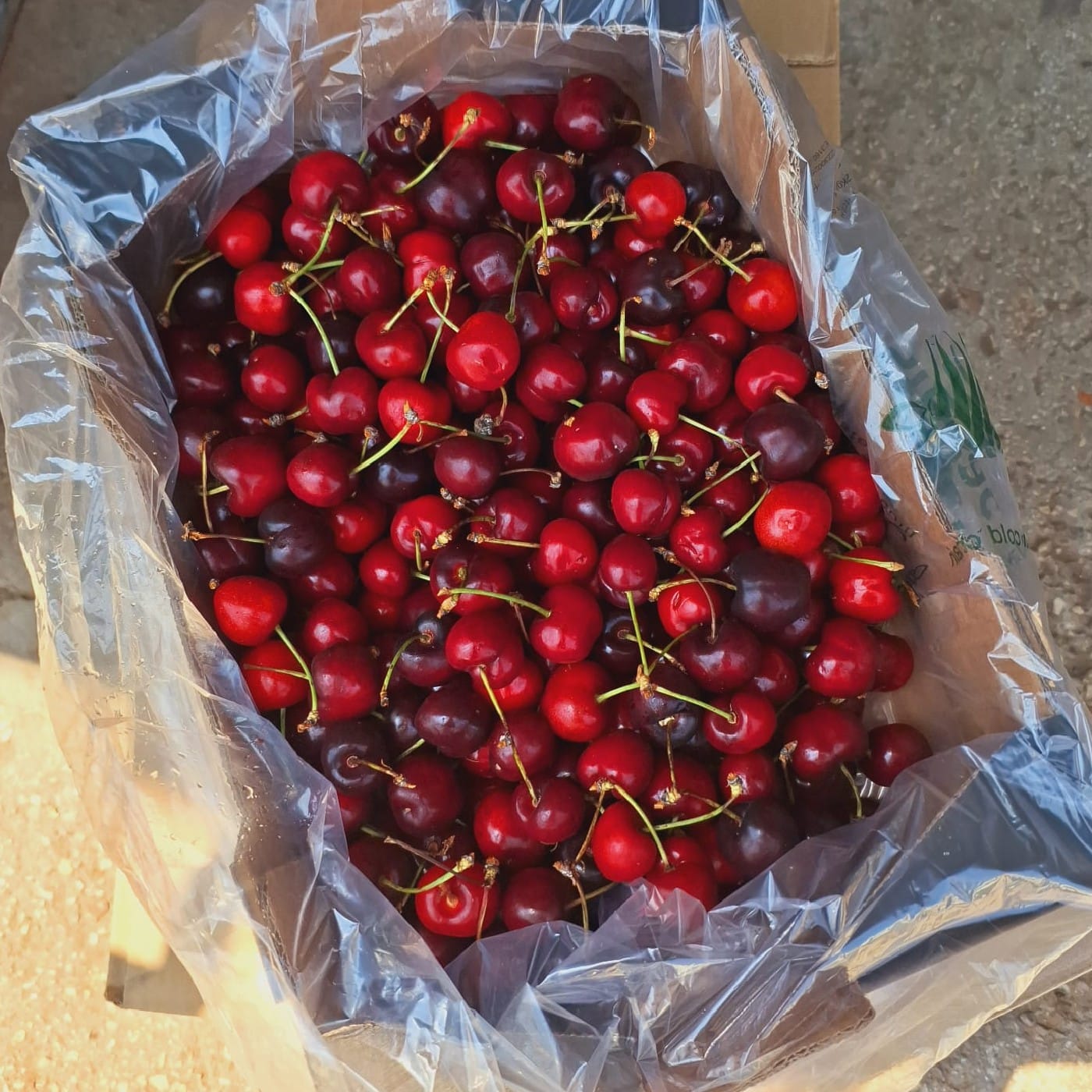 דובדבן אדום קרטון 2 ק