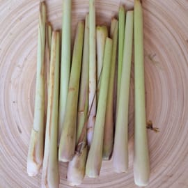 גבעולי למון לגראס (עשב לימון / לימונית). כ-130 ג'. מצויין לבישול