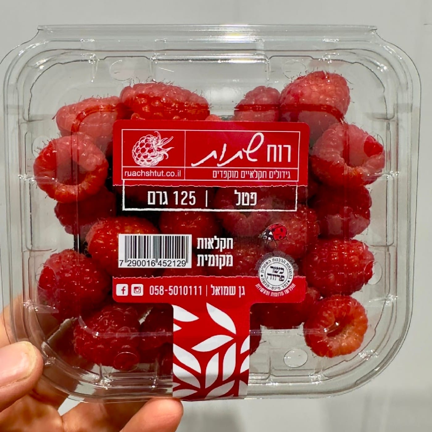 פטל אדום 125 ג'