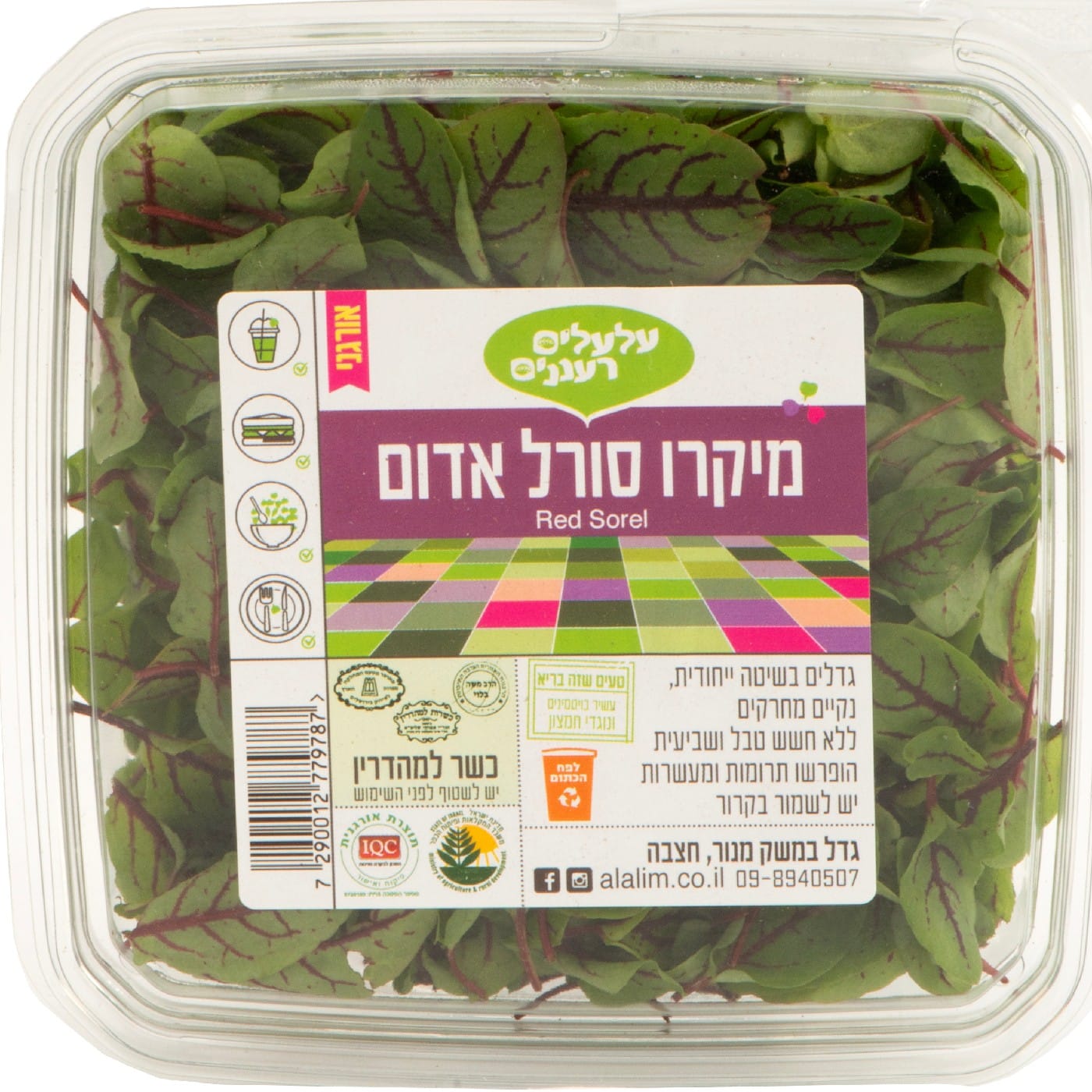 עלי מיקרו סורל אדום