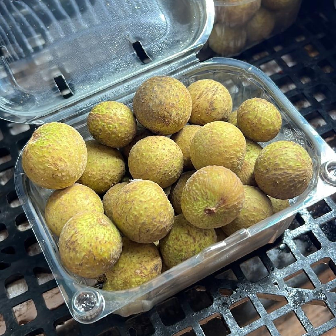 לונגן