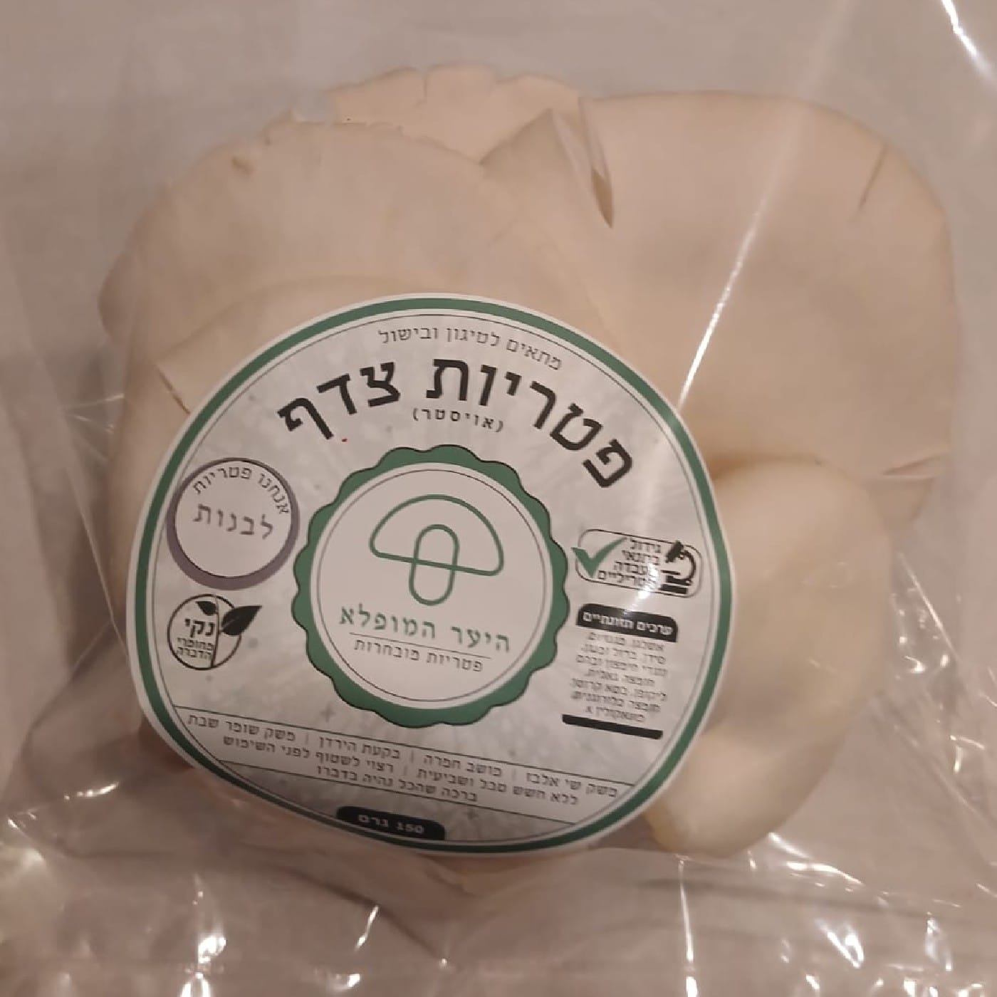 פטריות אויסטר 