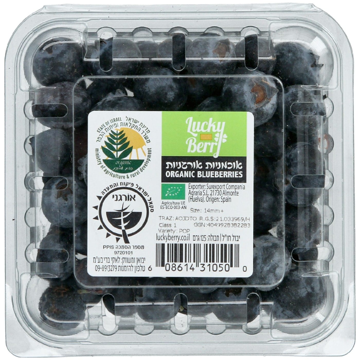 מארז אוכמניות אורגניות