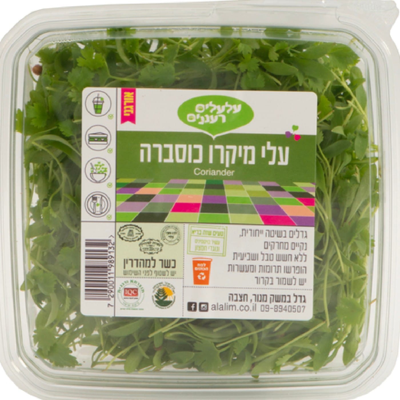 עלי מיקרו כוסברה