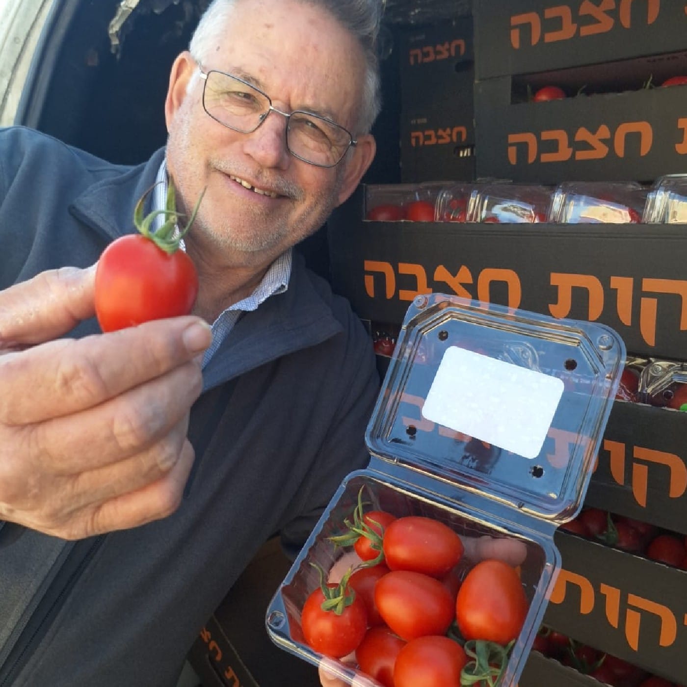 עגבניות שרי וויטני אורגניות מארז
