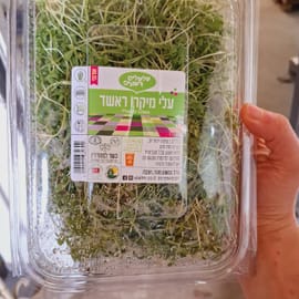 כ-200 ג'. עלים כהים ירוקים ובעלי צורה אליפטית איחודית. טעם חזק של פלפל. ראשד - מוכר בארץ גם
