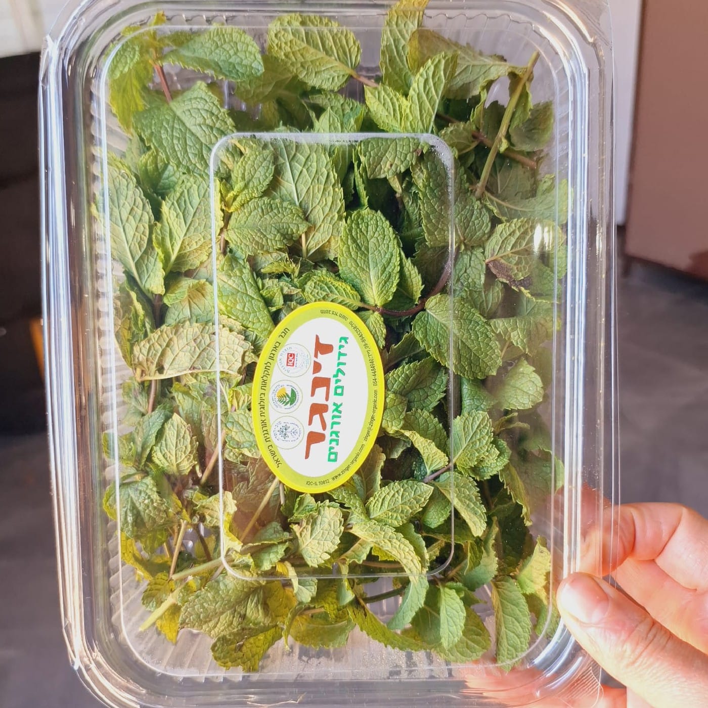 נענע אורגנית מארז