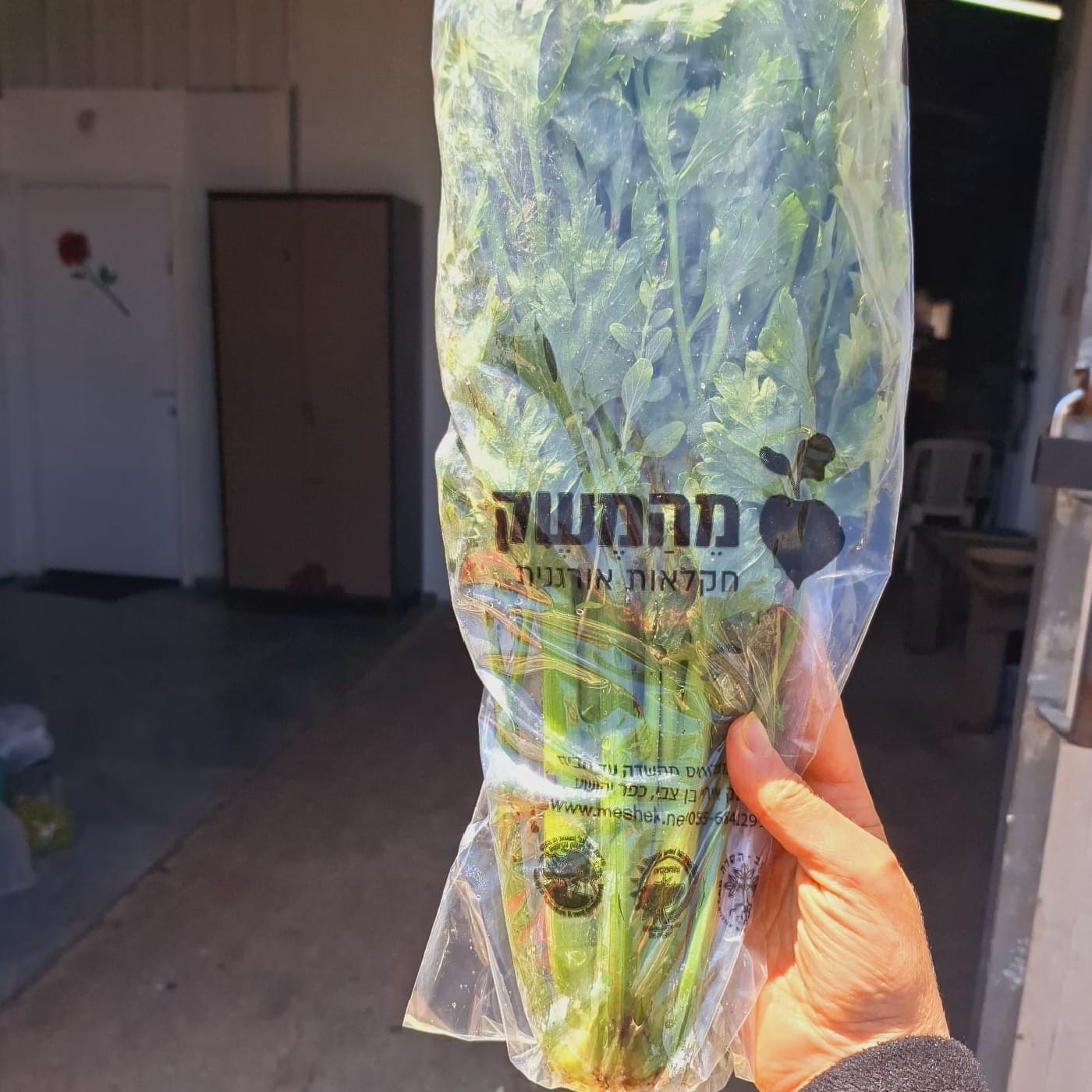 סלרי עלים אורגני