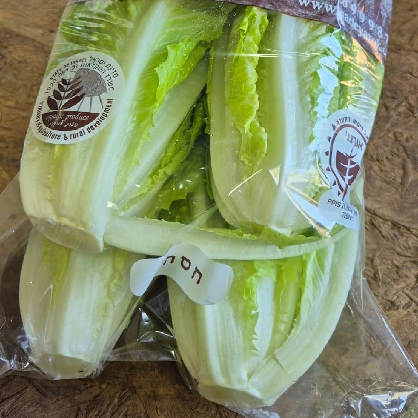 רביעיית לבבות חסה ערבית אורגנית