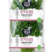 כ-500 ג'