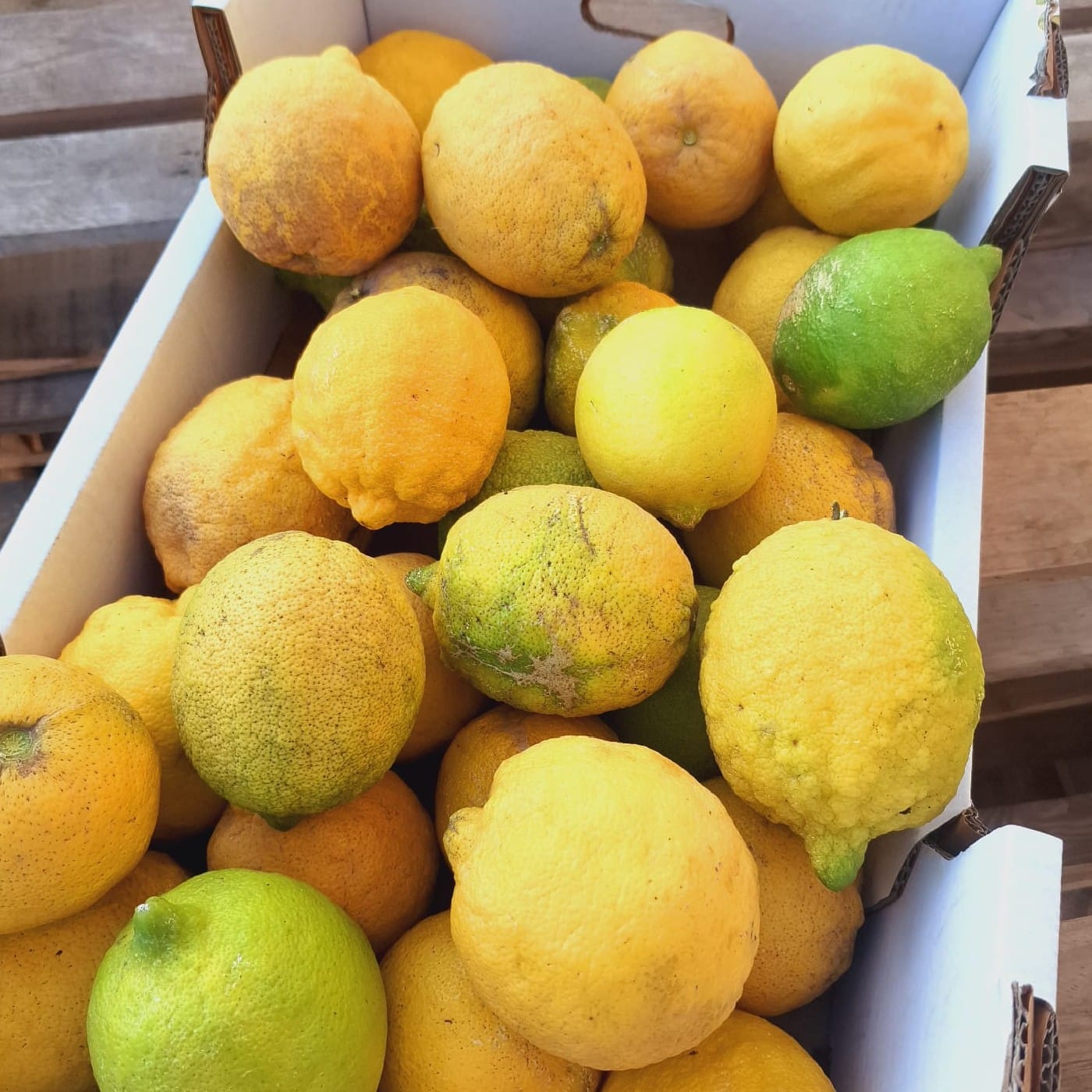 לימון אורגני