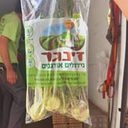 מגיע עם עלים (אכילים)