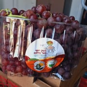 טעמתי והם פשוט מתוקים ומעולים! ממליצה בחום :) ללא גרעינים אדום\סגול, עגול ומתוק, זן מקדים