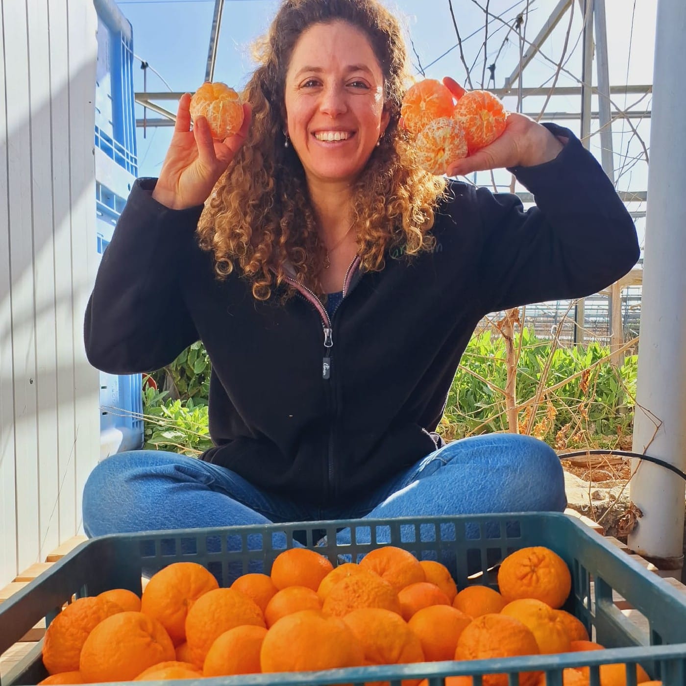 קלמנטינה אור אורגנית