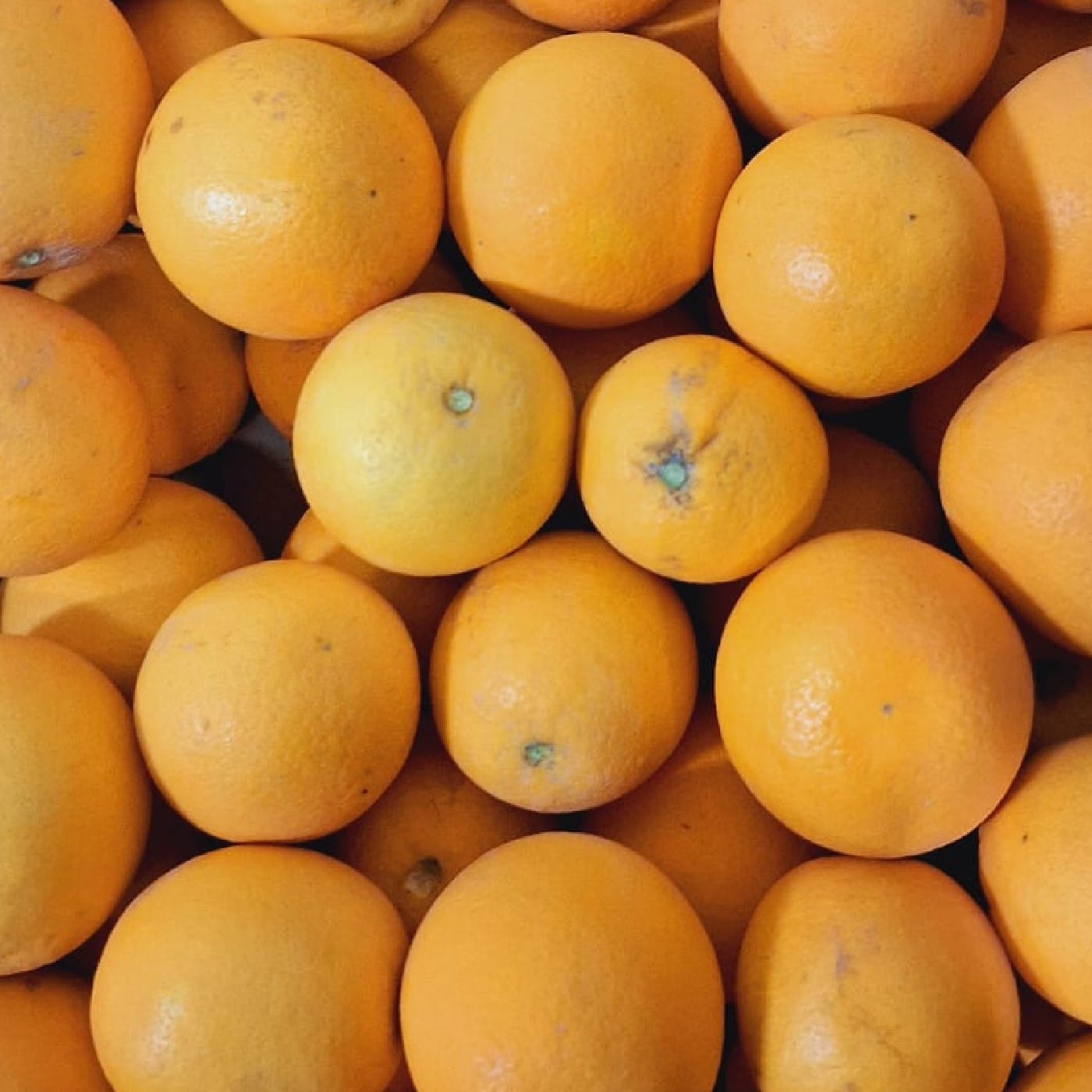 תפוז ולנסיה אורגני