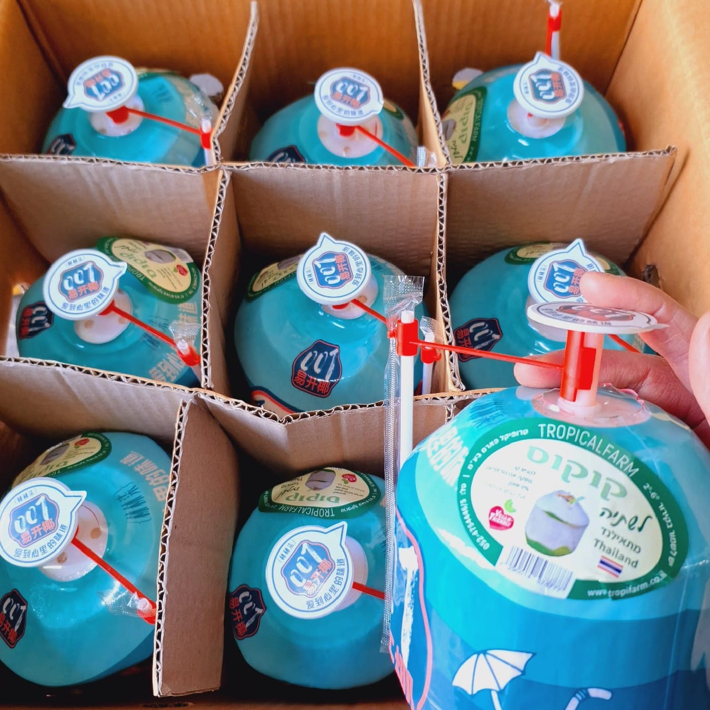 ארגז קוקוס לשתיה עם קש