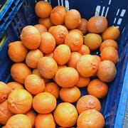 ההמלצה של תמר- מתוקה ובקושי יש חרצנים אם בכלל והקילוף ממש ממש קליל!! :) בתיאבון