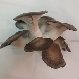 כ-150 ג', ידועה בשם בלאק פרל (פנינה שחורה). לאכילה לאחר בישול בלבד. גזע בשרני וטעם מיוחד.