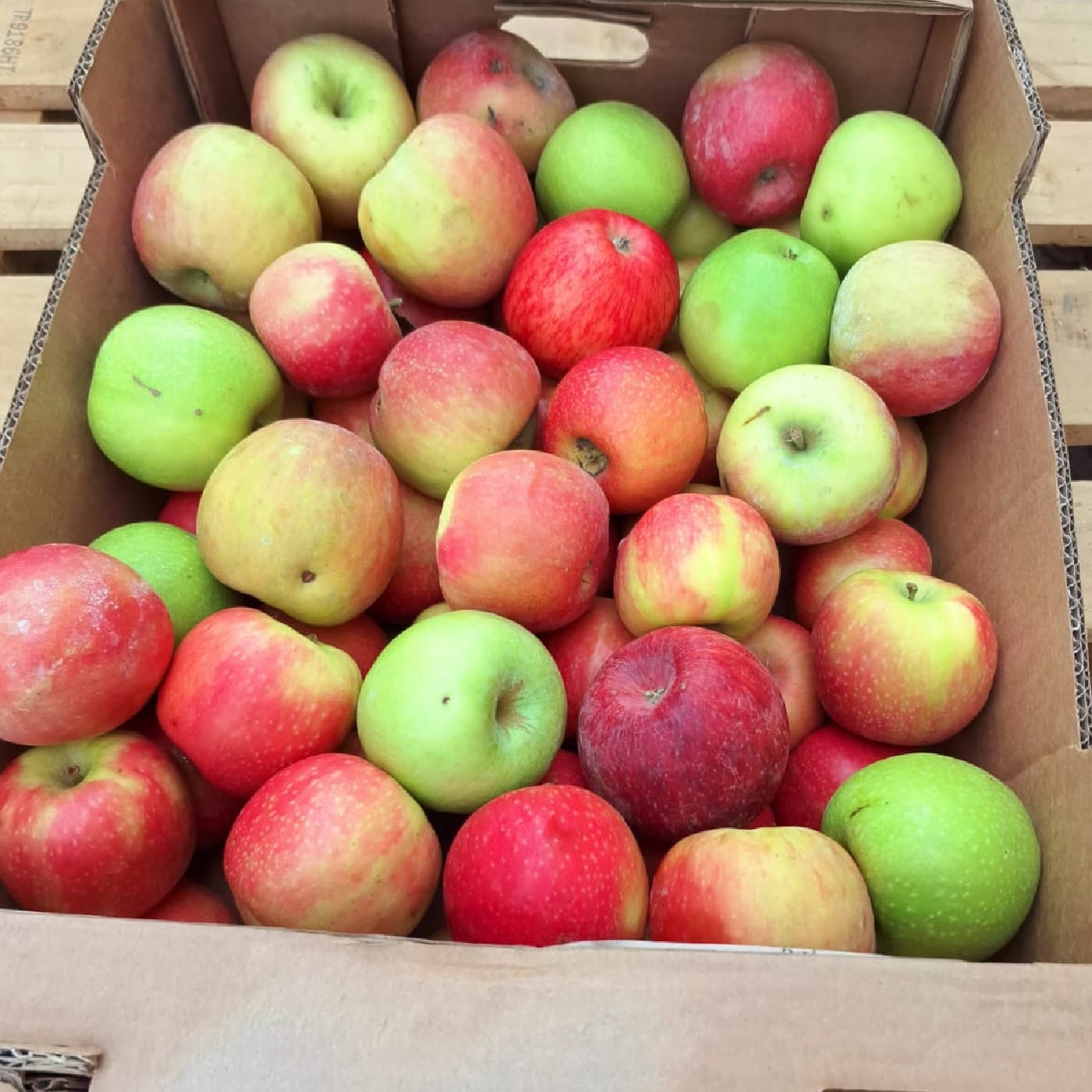 מיקס תפוח עץ לבישול, אפיה ומיצים