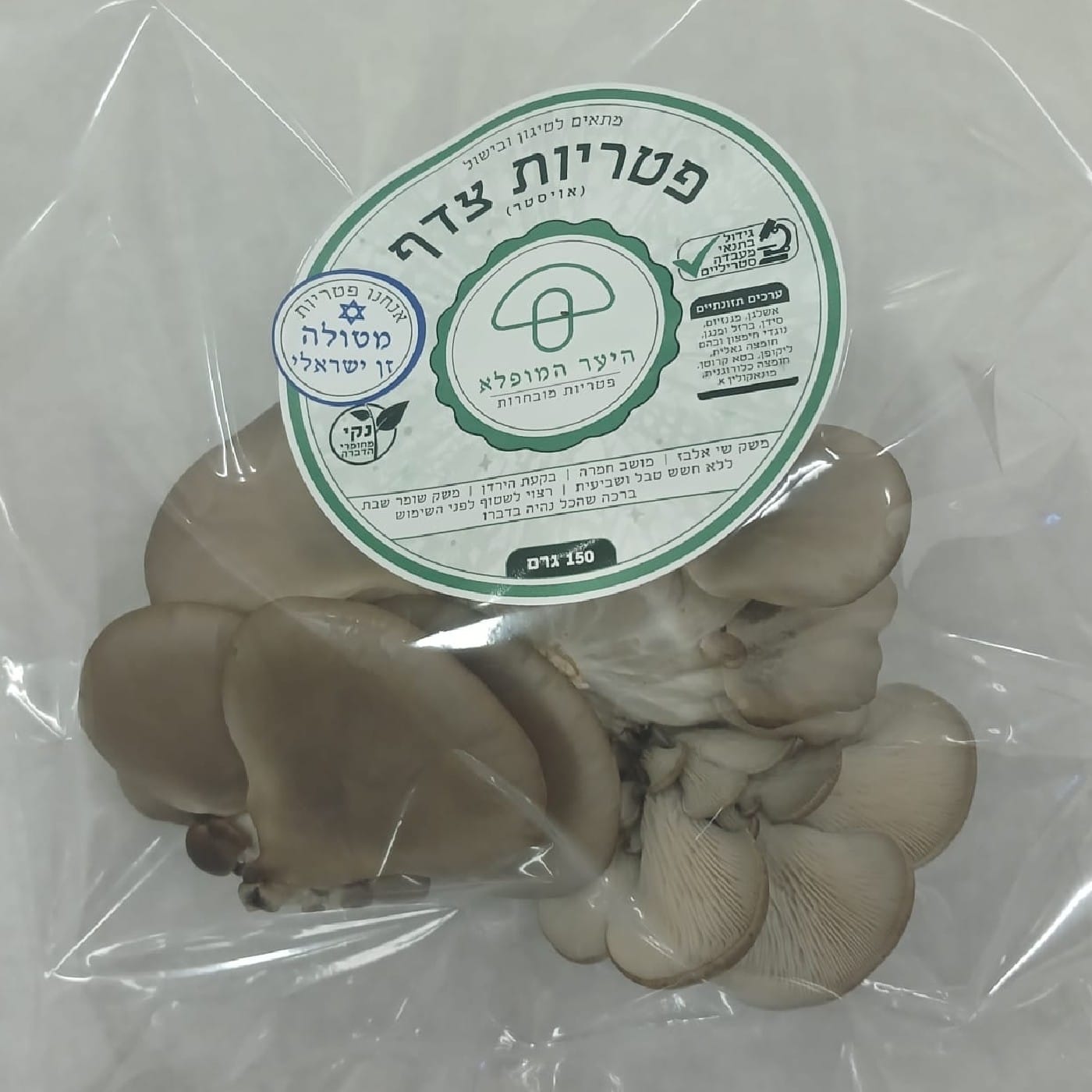 פטריות אויסטר אפורה 