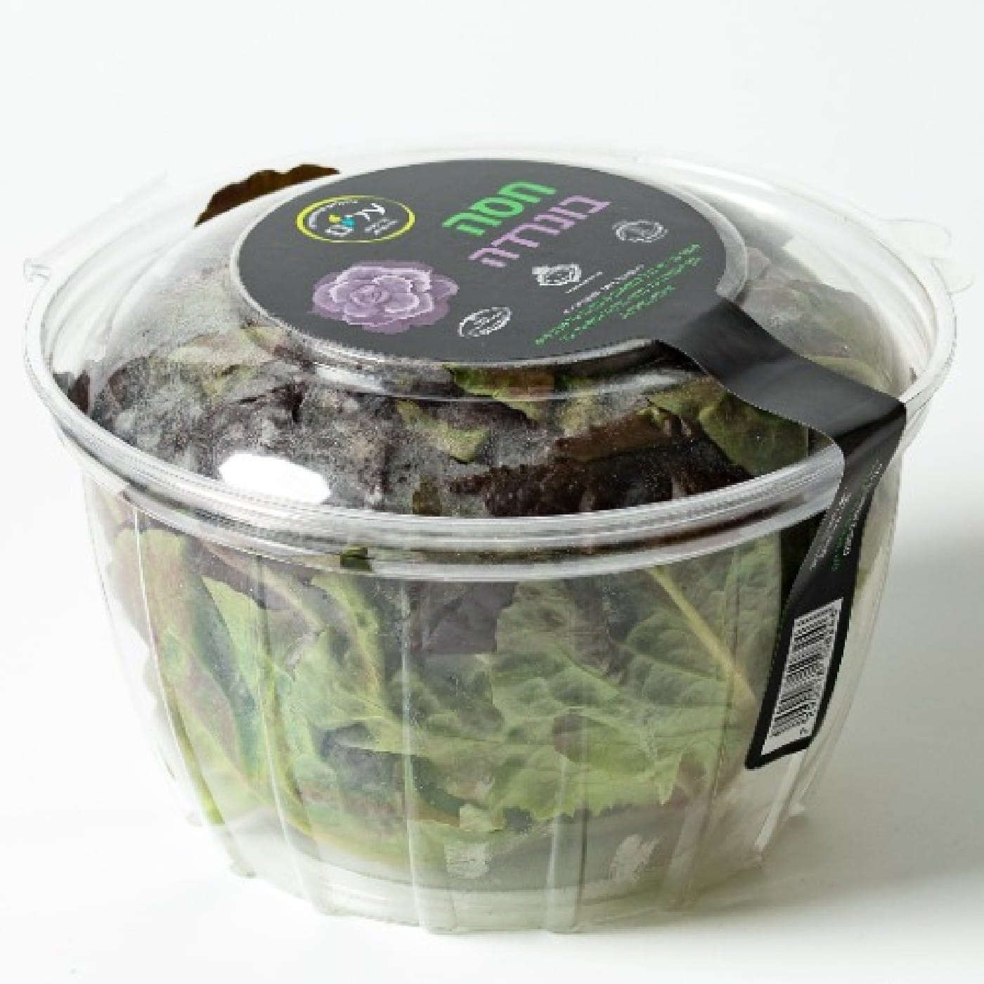 חסה בונרדה הידרופונית