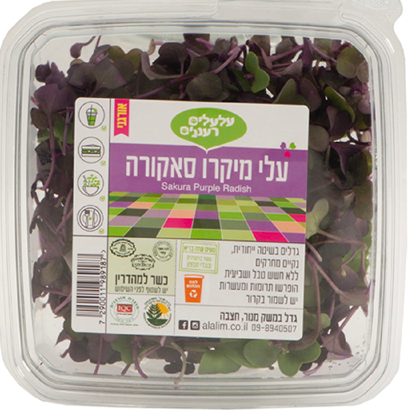 עלי מיקרו סאקורה