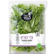 לטיפול בחרקים