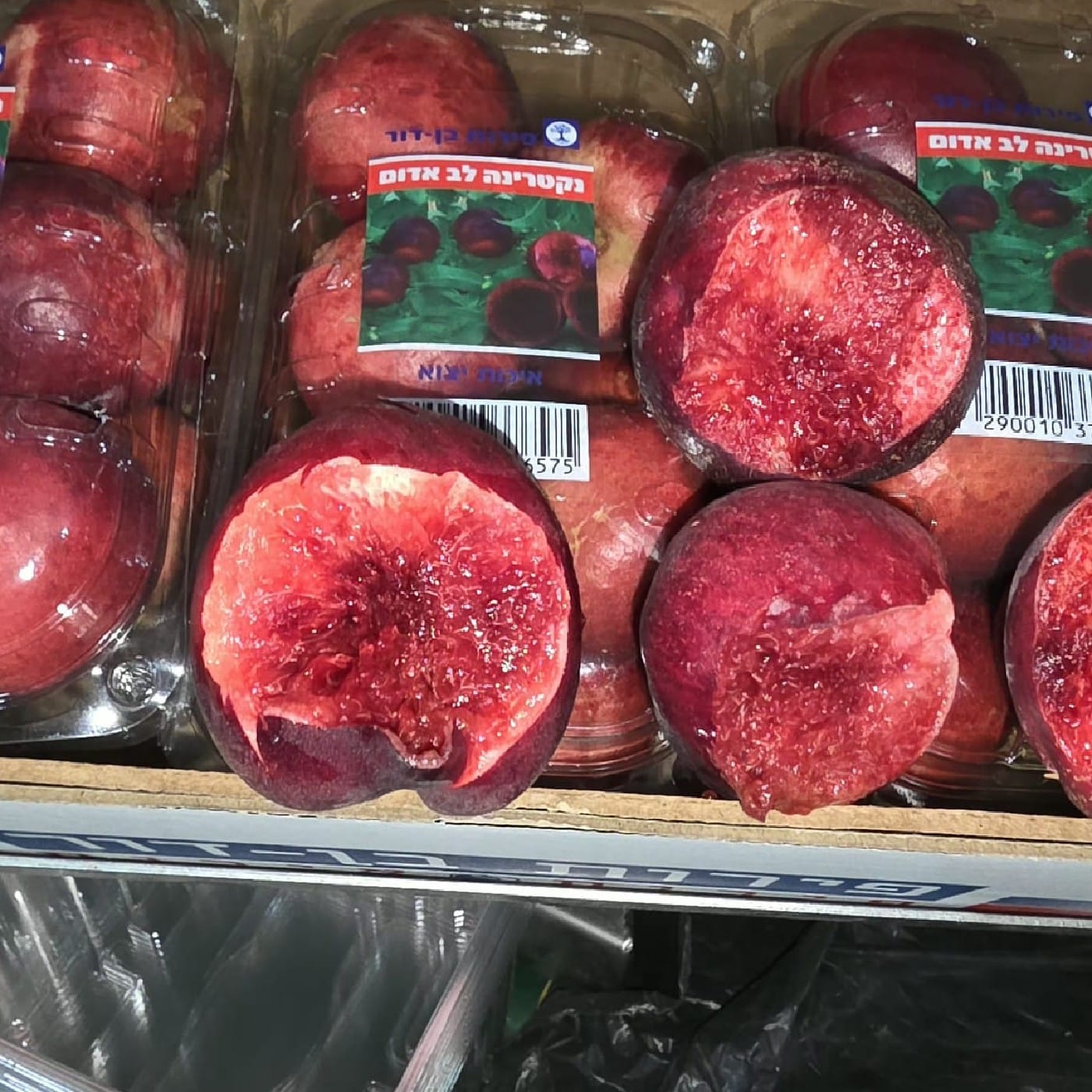 נקטרינה "טופ מודל" לב אדום גורמה 700 ג'