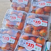 עגבניה מתוקה ועסיסית. זן שמגיע מעט רך כאשר בשיא הבשלות. טעם מעולה
