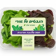 טרי