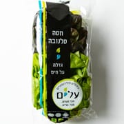 כ-170 ג'. 2 יחידות. ממשפחת