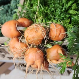 צרור גזר משגע. מגיעים עם עלים. נפלאים בבישול