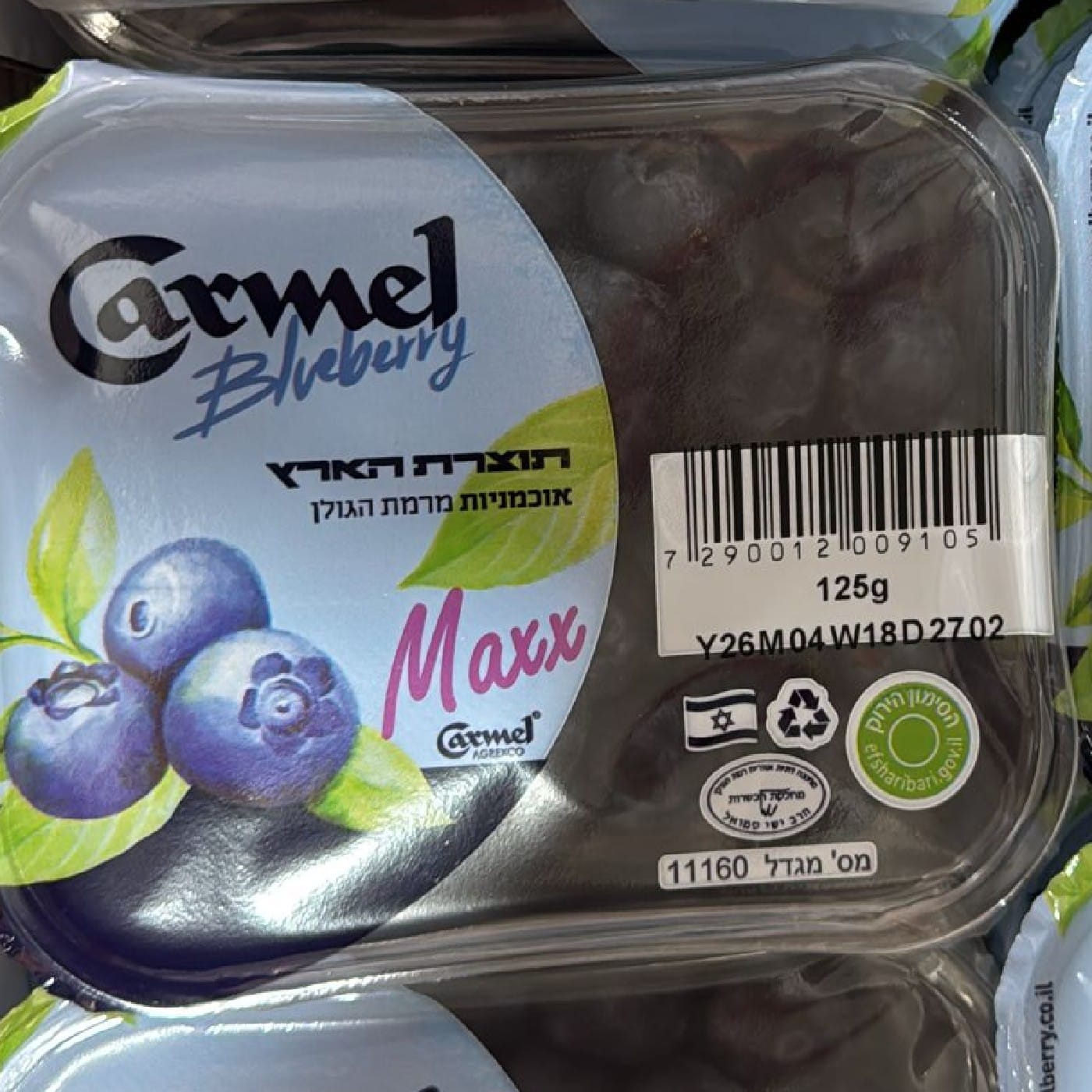 אוכמניות כרמל מקס