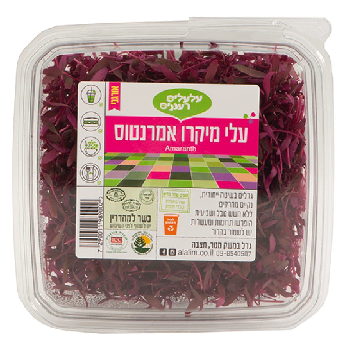 עלי מיקרו אמרנטוס