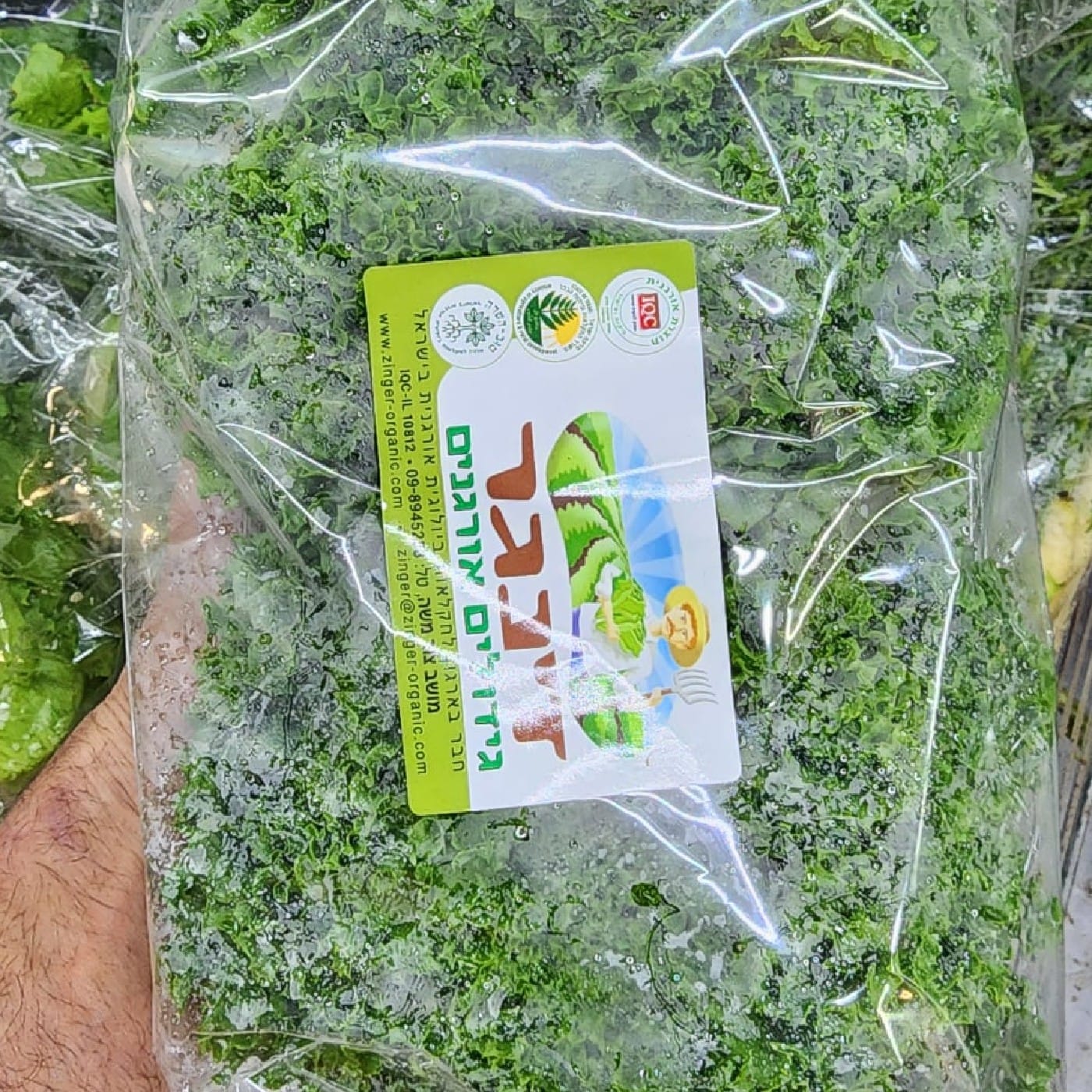 חסה לאליק אורגנית זוג