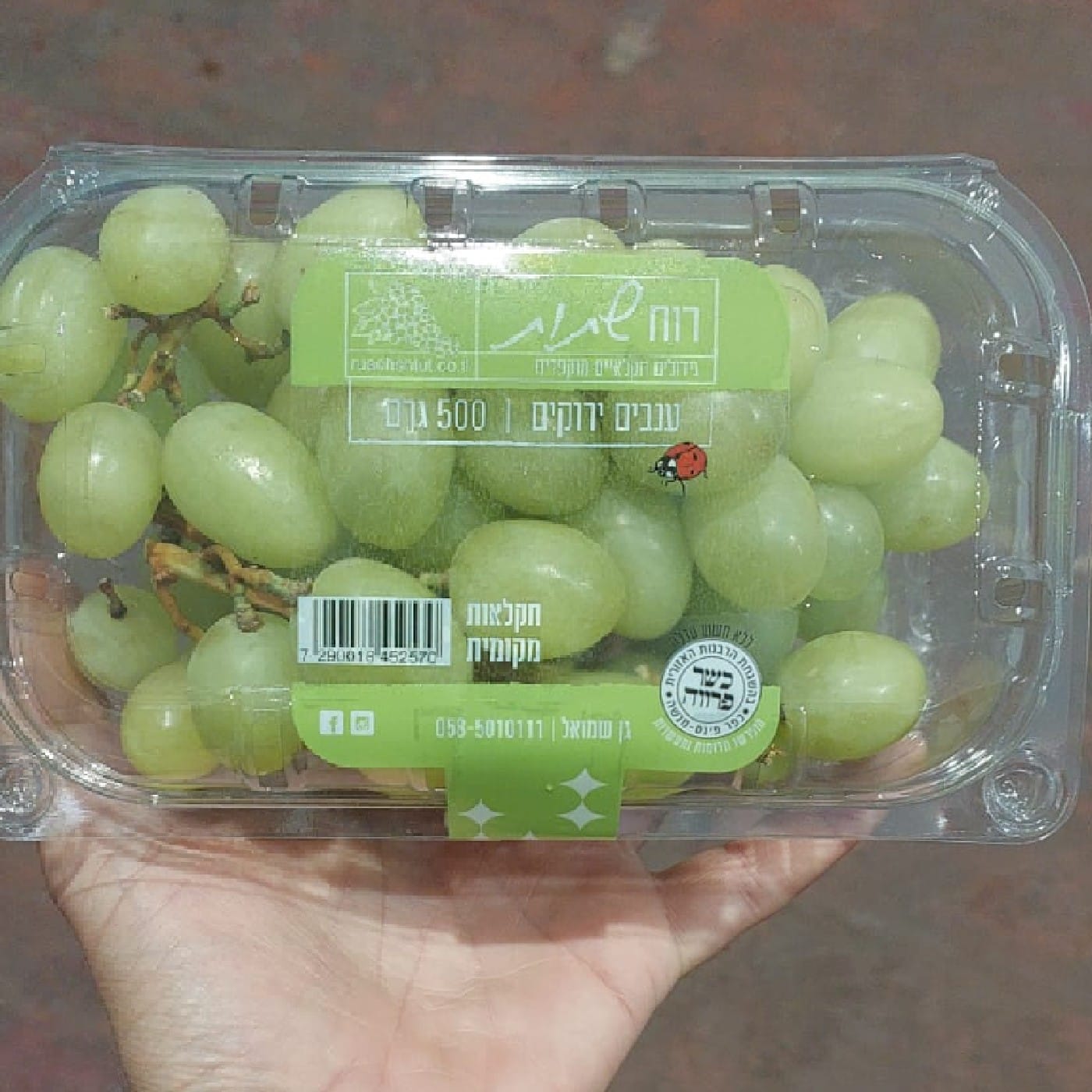 ענבים ירוקים 